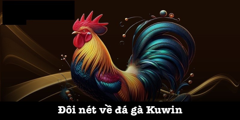 Khái niệm của đá gà Kuwin