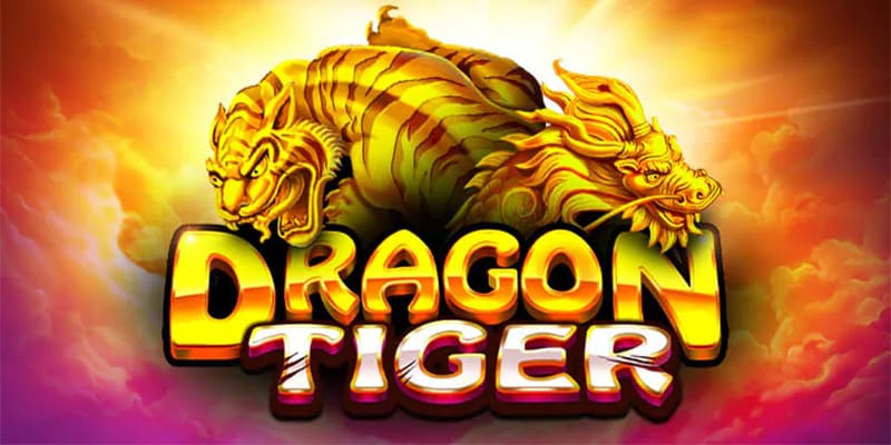 Chơi Rồng Hổ đơn giản phù hợp người mới