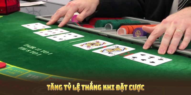 Cách soi cầu Baccarat tối ưu để tăng tỷ lệ thắng khi đặt cược